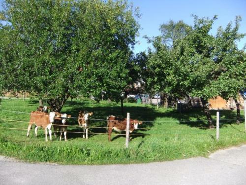 Agroturismo St�cklhof