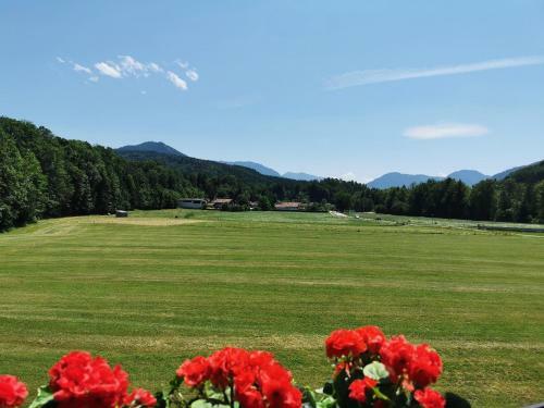Apartamento Ferienwohnung Am Alpenrand