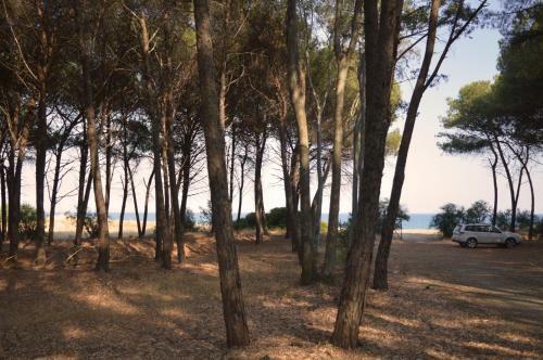 Apartamento Oasi Del Governatore