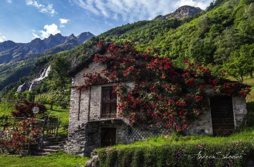Apartamento C� Bregaglia - Appartamenti Per Vacanze