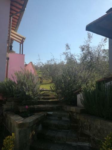 Agroturismo Agriturismo Campolungo