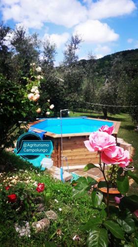 Agroturismo Agriturismo Campolungo