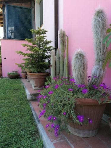 Agroturismo Agriturismo Campolungo