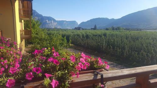 Agroturismo Agritur Clementi