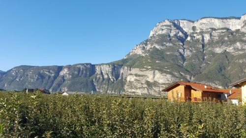 Agroturismo Agritur Clementi