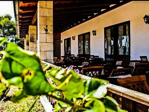 Bed & Breakfast Twin Tails