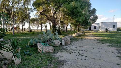 Bed & Breakfast Twin Tails