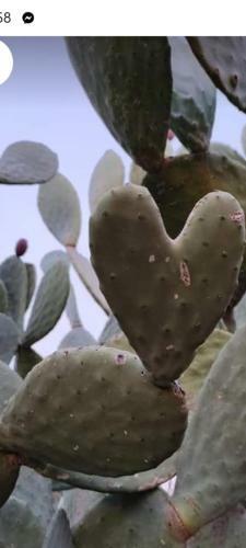 Bed & Breakfast Twin Tails