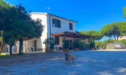 Apartamento Il Tombolo
