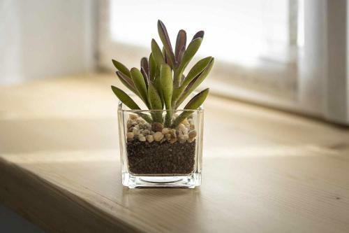 Apartamento Agritur Horizon Carzano Ospitar