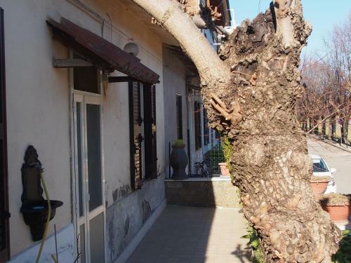 Apartamento Casa Vacanze Il Monte