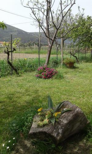 Hostal B&B Il Limone