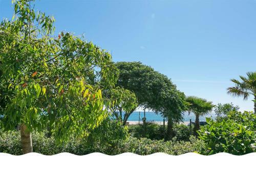 Apartamento Freedom Village