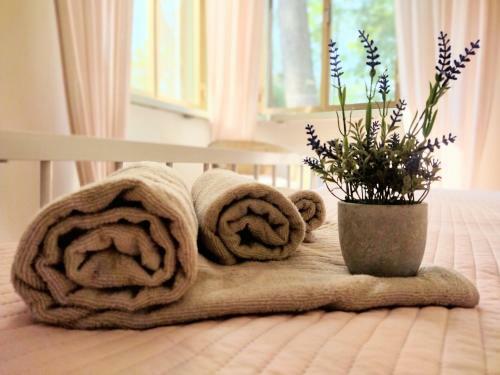 Apartamento Venus Appartement Grado