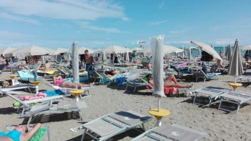 Apartamento Hama Mobilehomes Lido Di Dante