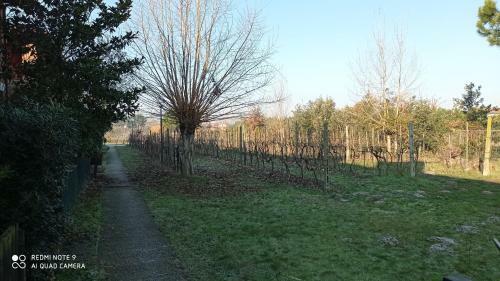 Apartamento Appartamento Residence I Vigneti