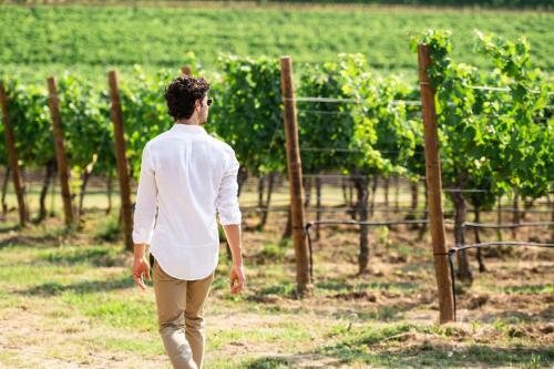 Bed & Breakfast Al Pompiere - Wine And Rooms