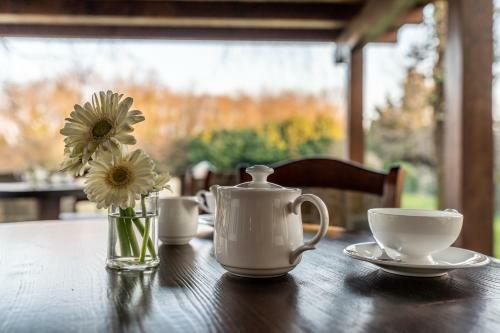 Posada Accademia Vine Lodge