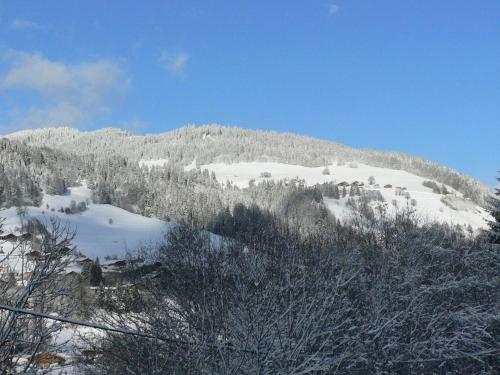 Petit Chalet Individuel De Caract�re