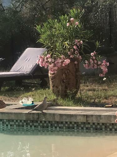 Maison De Famille Au Coeur Du Luberon