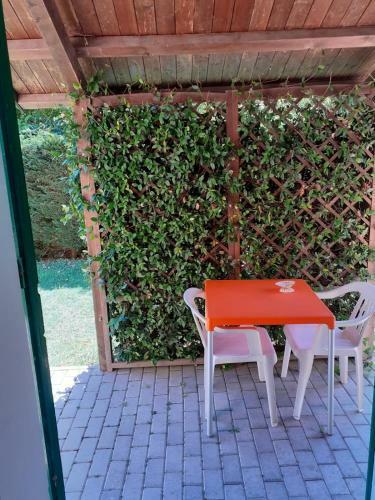 Hotel Albergo Elena