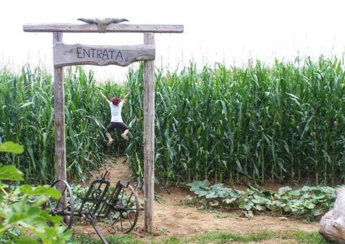 Bed & Breakfast La Selce Farmhouse