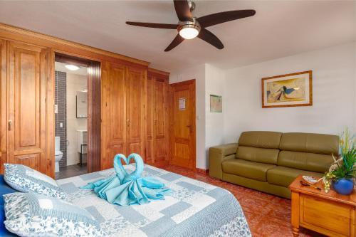 Bed & Breakfast Villa Madnis