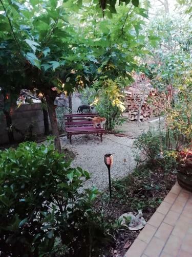 Apartamento La Garrigue Yourhosthelper