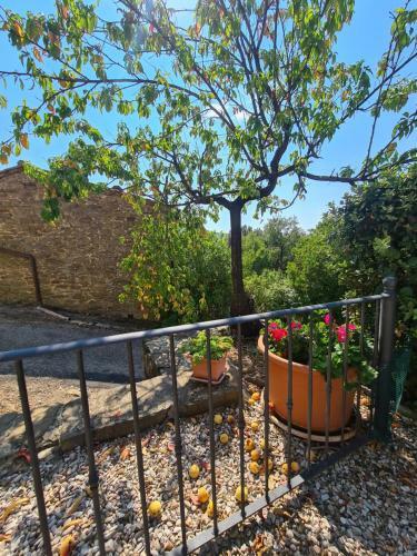 Villa Le Ginestre