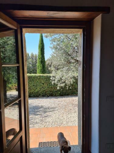 Villa Le Ginestre