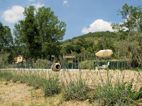 Pleasant Villa In Cortona With Private Swimming Pool