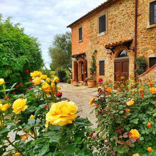 Apartamento Villa La Mucchia - Viola