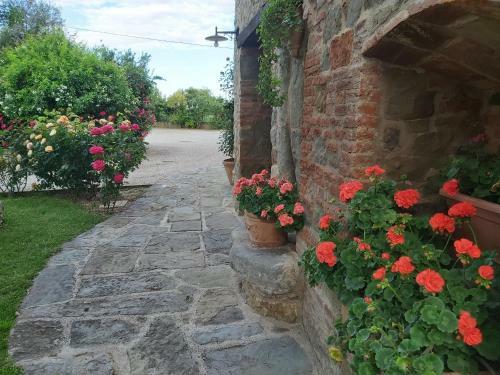 Apartamento Villa La Mucchia - Viola