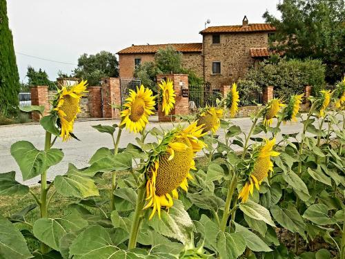 Apartamento Villa La Mucchia - Viola