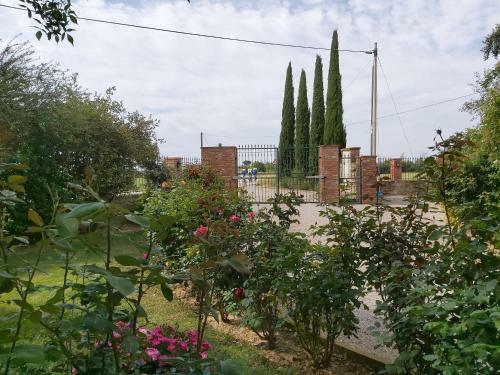 Apartamento Villa La Mucchia - Viola