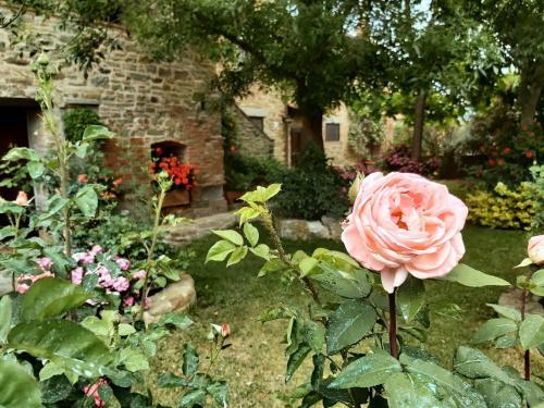 Apartamento Villa La Mucchia - Viola