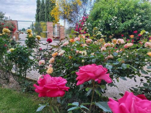 Apartamento Villa La Mucchia - Viola