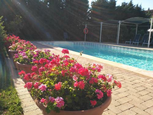 Apartamento Villa La Mucchia - Viola