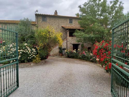 Apartamento Villa La Mucchia - Viola