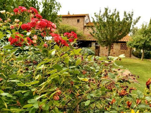 Apartamento Villa La Mucchia - Viola