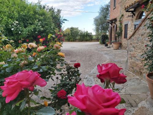 Apartamento Villa La Mucchia - Lavanda