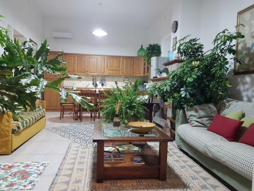 Marco's House