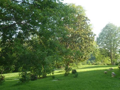 Bed & Breakfast Domaine Abartiague