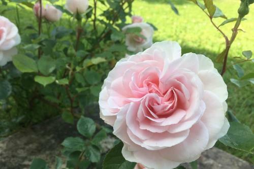 Villa Nature Et Silence - Maison Enti�re