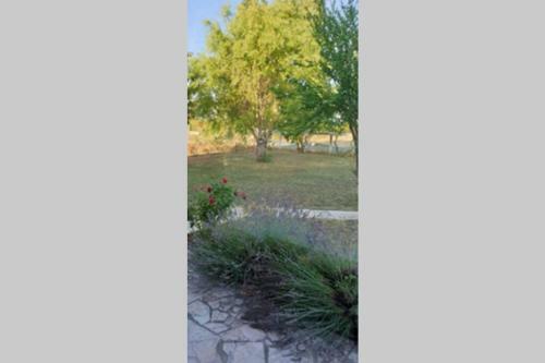 Villa Nature Et Silence - Maison Enti�re