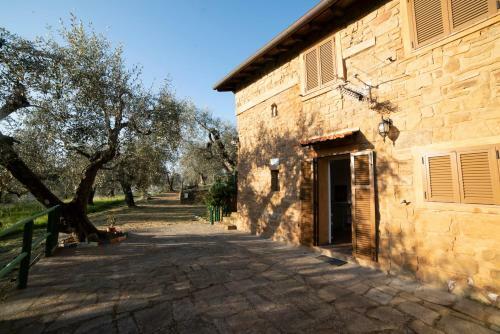 Casetta Maduneta Immersa In Un Oliveto