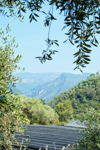 Agroturismo Le Ortensie