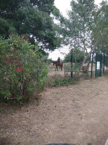 Camping 4 �toiles Le Lac Des R�ves