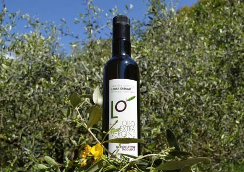 Agroturismo Agriturismo Dalla Mimmi