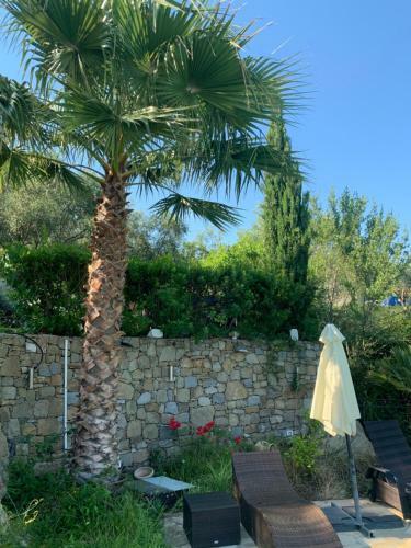 Villa Mit Privaten Schwimmpool Undaussenwhirlpol